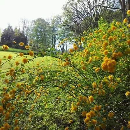 Semesterbostad Confortable En Pleine Foret Avec Etang, Ideal Pour Familles Et Amis - Fr-1-589-154 *