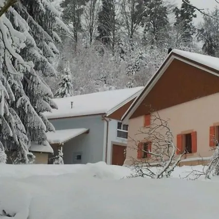 Semesterbostad Confortable En Pleine Foret Avec Etang, Ideal Pour Familles Et Amis - Fr-1-589-154