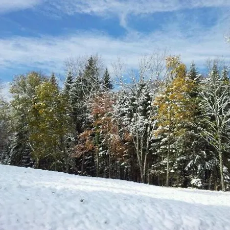 بيت للعطل Confortable En Pleine Foret Avec Etang, Ideal Pour Familles Et Amis - Fr-1-589-154