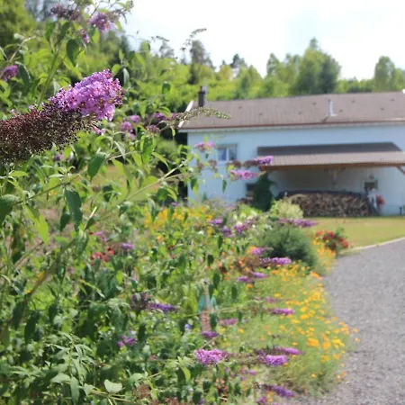 Confortable En Pleine Foret Avec Etang, Ideal Pour Familles Et Amis - Fr-1-589-154