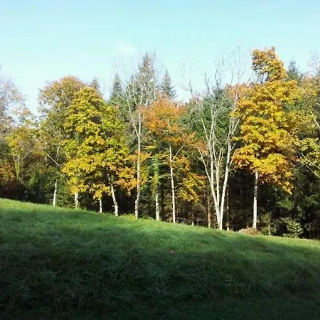 Confortable En Pleine Foret Avec Etang, Ideal Pour Familles Et Amis - Fr-1-589-154 Semesterbostad Barbey-Seroux