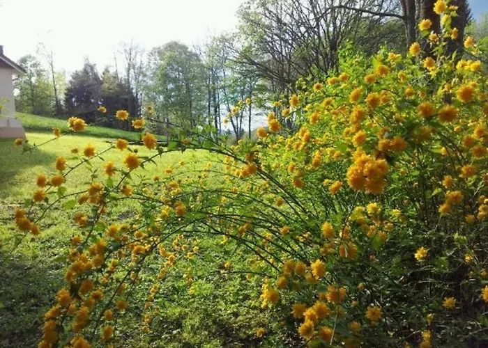 Prázdninový dům Confortable En Pleine Foret Avec Etang, Ideal Pour Familles Et Amis - Fr-1-589-154 *