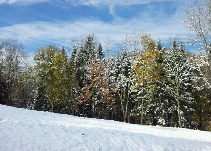 Prázdninový dům Confortable En Pleine Foret Avec Etang, Ideal Pour Familles Et Amis - Fr-1-589-154
