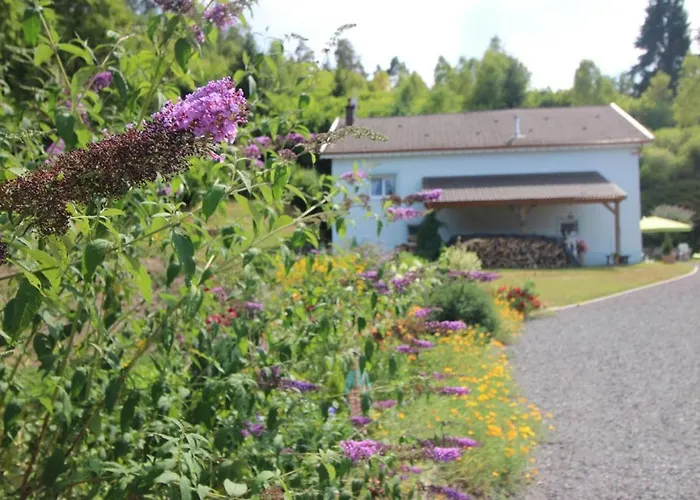 Confortable En Pleine Foret Avec Etang, Ideal Pour Familles Et Amis - Fr-1-589-154