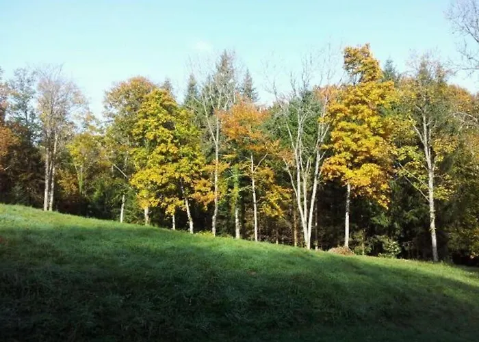 Confortable En Pleine Foret Avec Etang, Ideal Pour Familles Et Amis - Fr-1-589-154 Prázdninový dům Barbey-Seroux